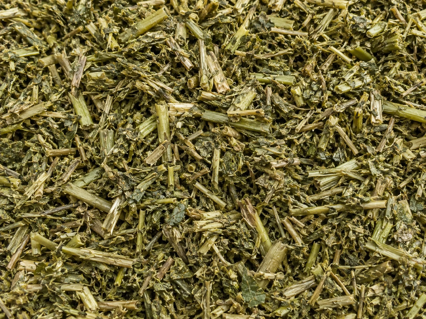 سیلاژ یونجه؛ تصویر نمایشی ساختهشده با هوش مصنوعی